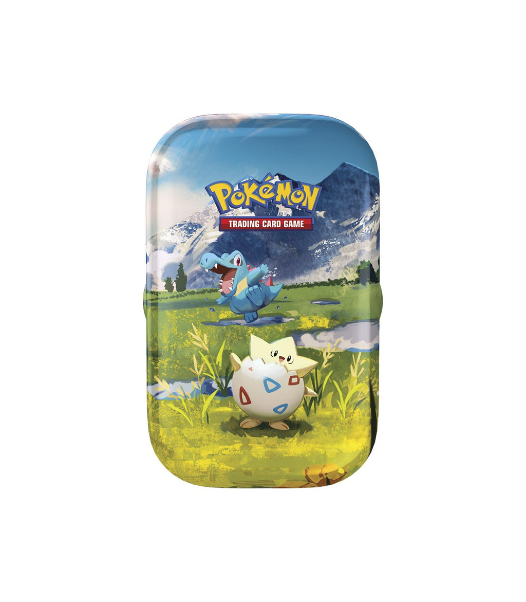 POKEMON TCG MINI LATA